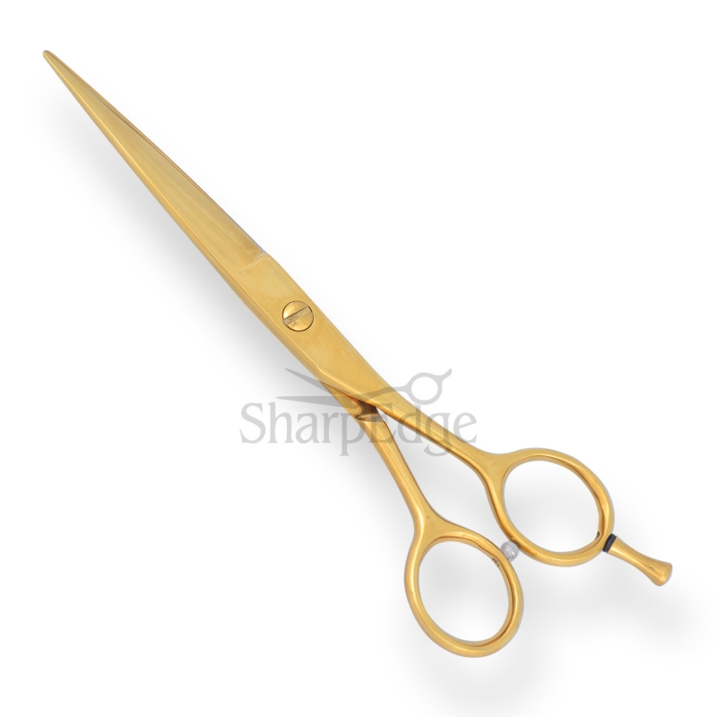 Professional Hair Dressing Scissors 
